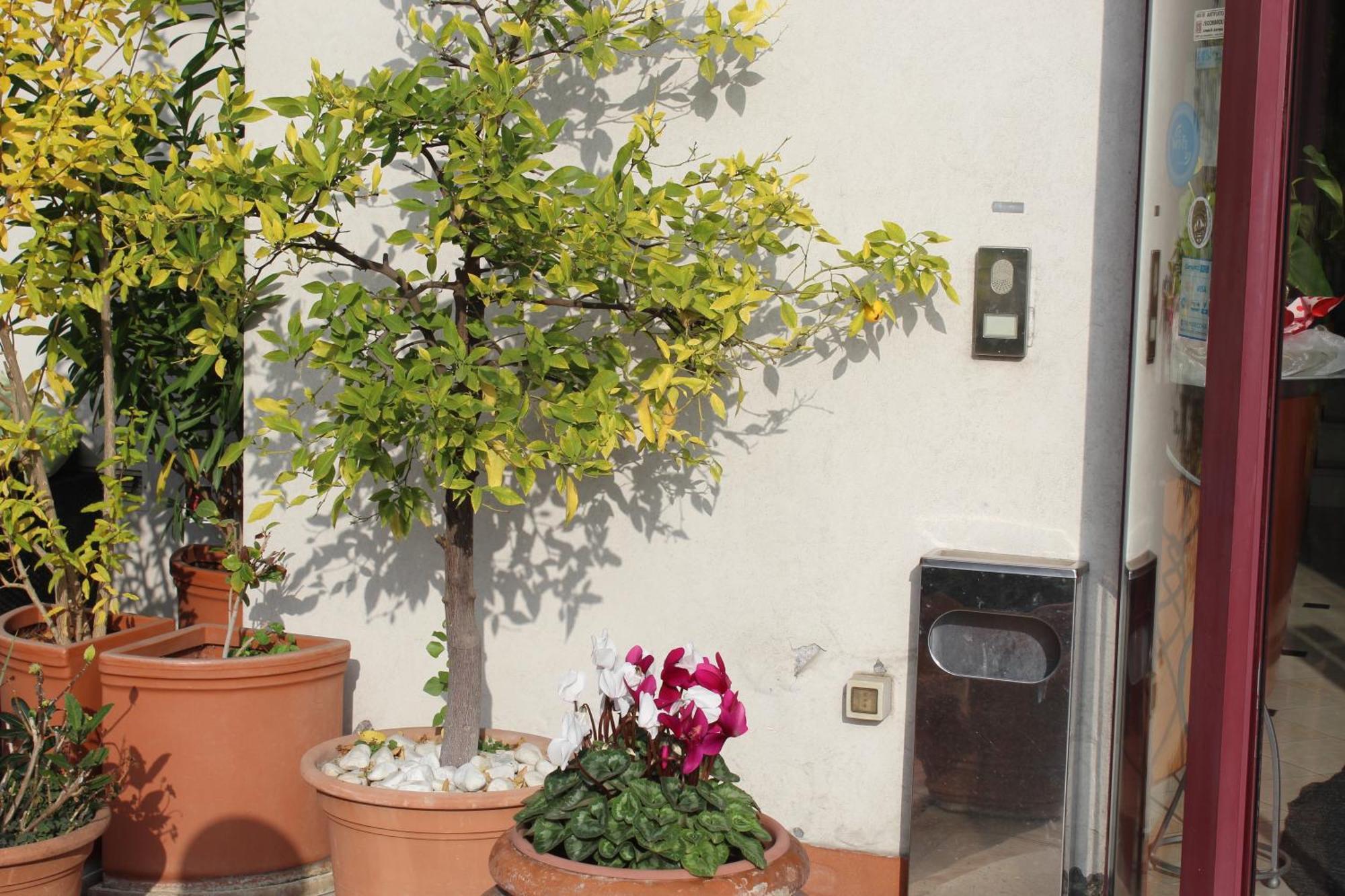 Arcangelo Roof Hotel Rimini Exterior foto