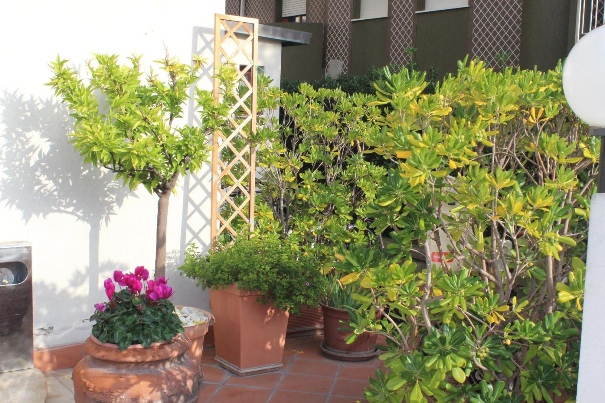 Arcangelo Roof Hotel Rimini Exterior foto